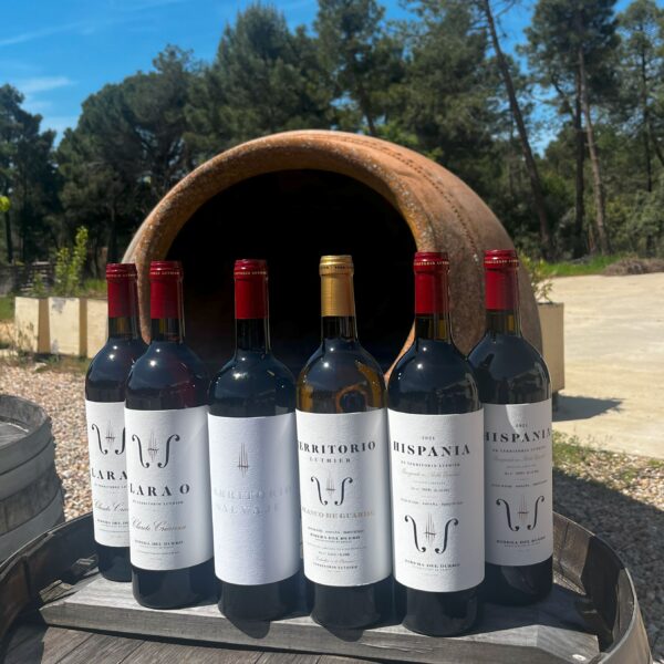 Selección 6 botellas Primavera 2025