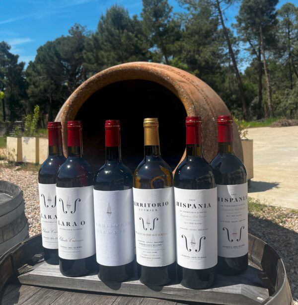 Selección 6 botellas Primavera 2025